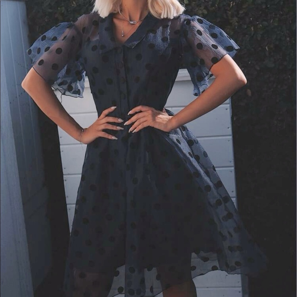 Dot Mesh Overlay Fluted Swing Collar Dress - Picture 1 of 5